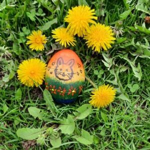 saska miladinov na 12 g