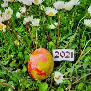 talia ivan ov na 5 godini