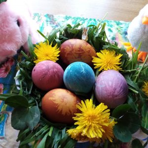 alehandra petrova na 10 g